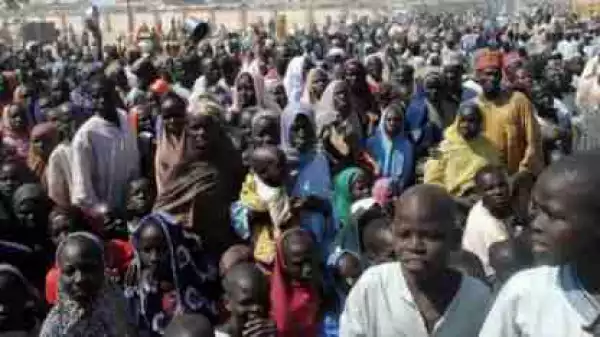 Adamawa Govt Reiterates Commitment To Improve Lives Of IDPs